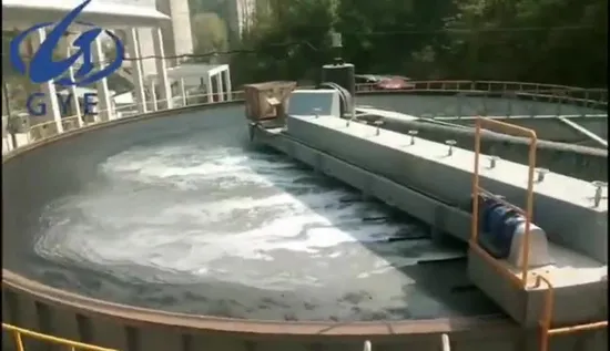 Flotación por aire disuelto Daf superficial con alta tasa de eliminación de algas para tratamiento de agua de lagos